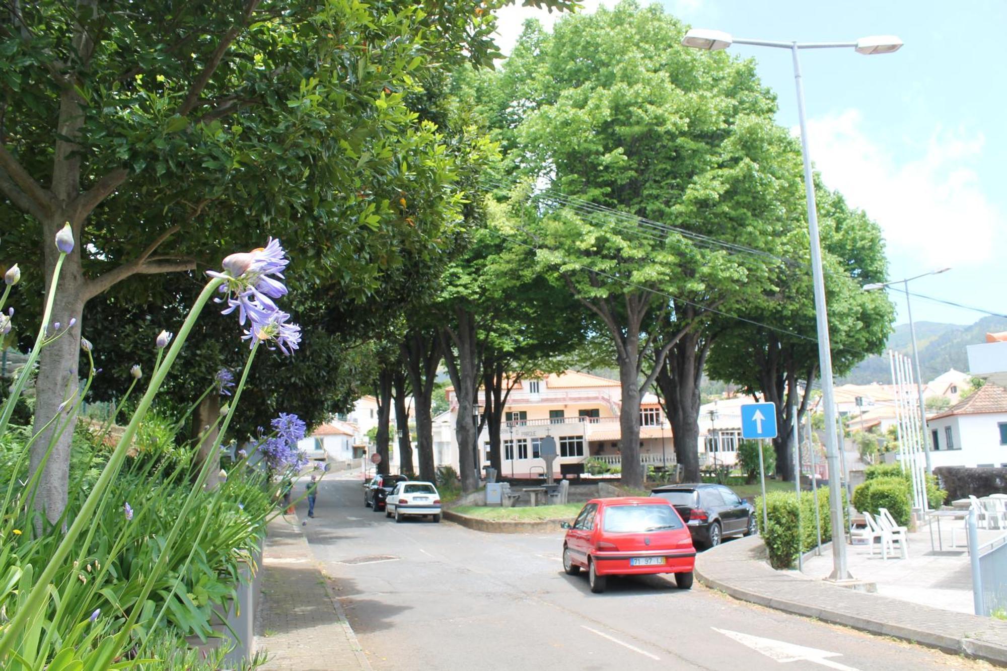 Ourmadeira - Seaview Apartment, Countryside Calheta  Esterno foto